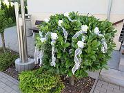 IMG_8783-1200