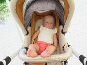 IMG_8842-1200