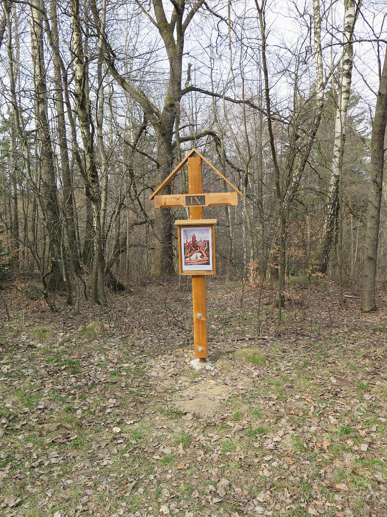 IMG_1378.JPG