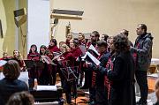 IMG_2178-2-1200