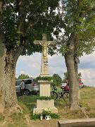 IMG_9137-1200